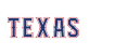 Rangers Store